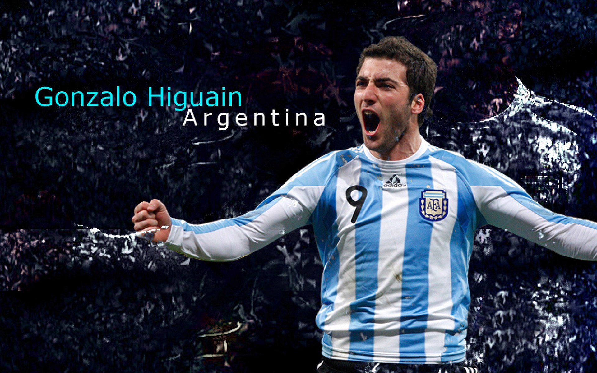 保利娜·普费夫决赛表现稳定赢得认可，保加利亚普罗夫迪夫音乐舞蹈艺术科学院